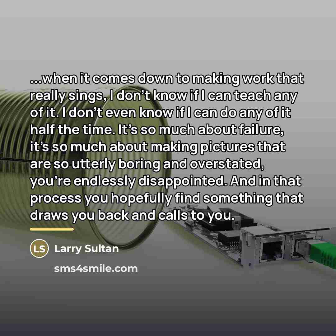 “...when it comes down to making work that really sings,…” quote by Larry Sultan