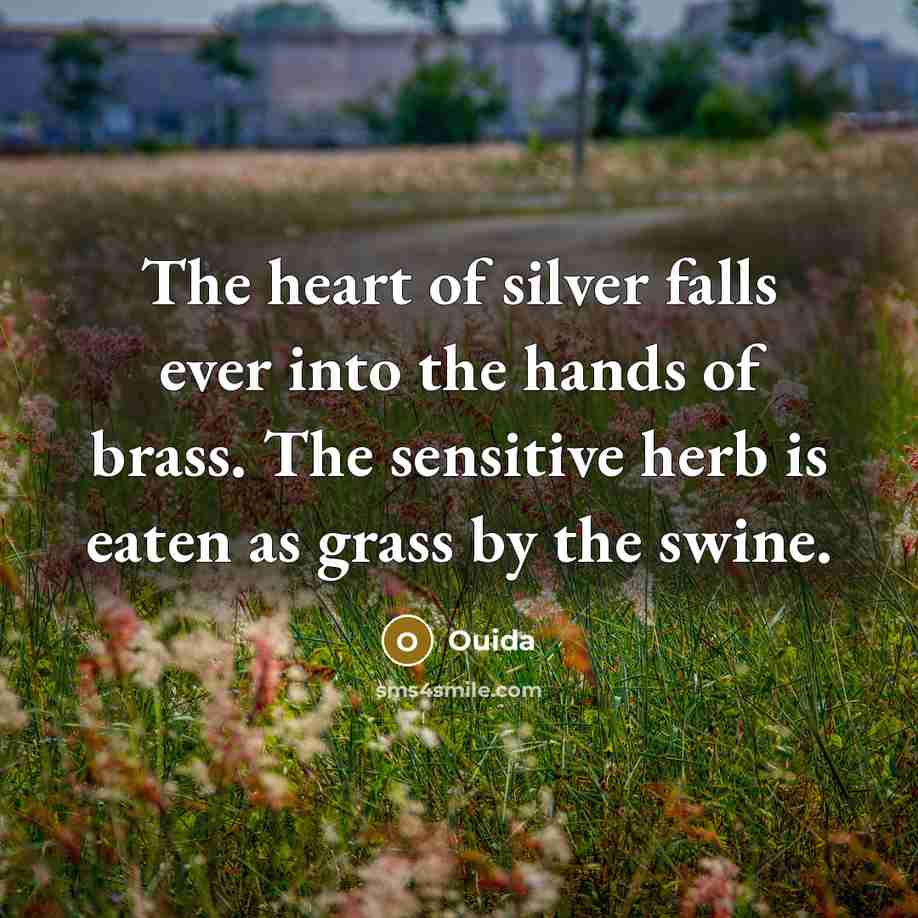“The heart of silver falls ever into the hands of…” quote by Ouida