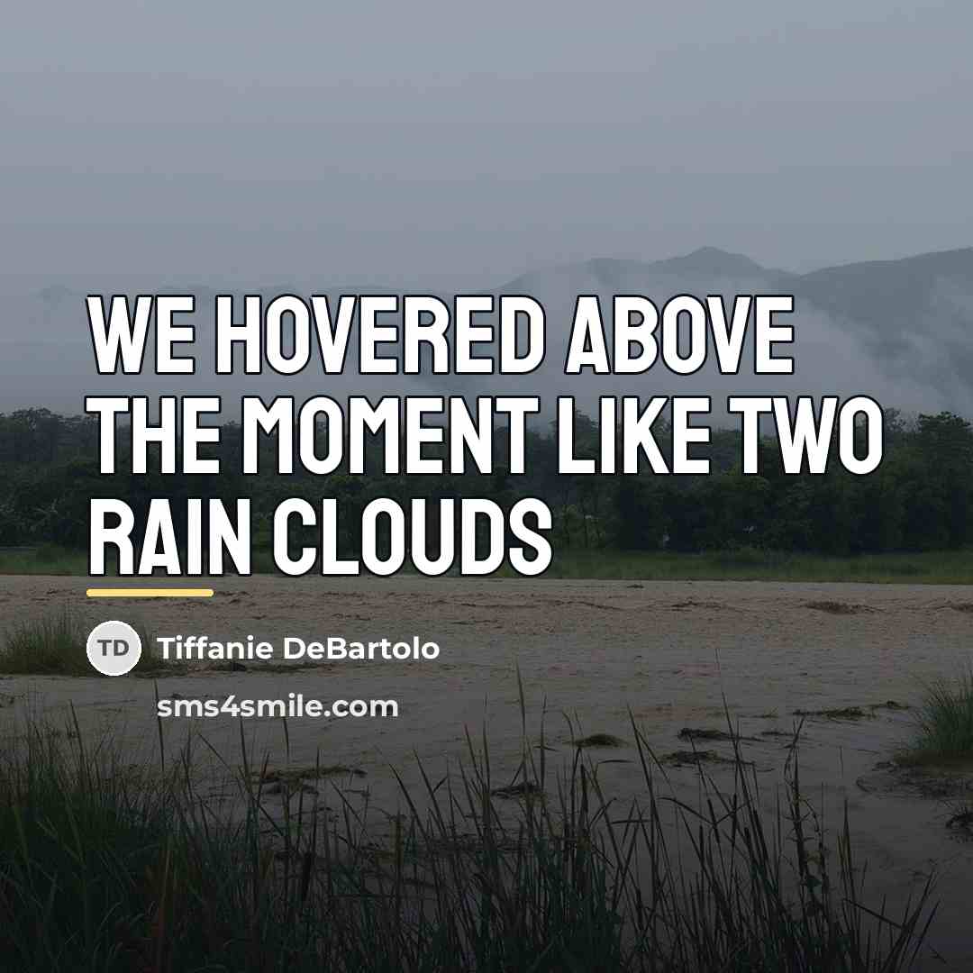 “We hovered above the moment like two rain clouds…” quote by Tiffanie DeBartolo