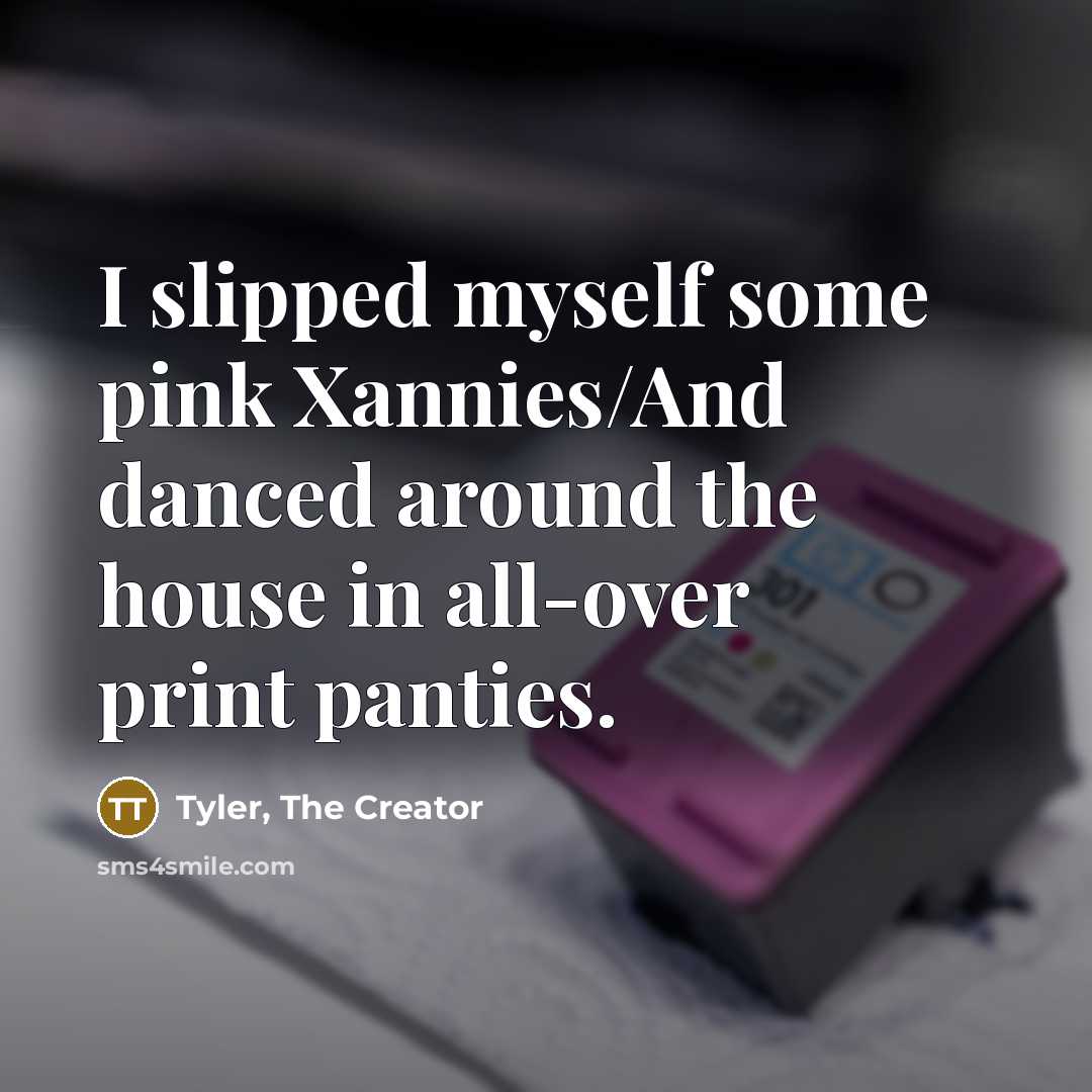 “I slipped myself some pink Xannies/And danced around the house…” quote by Tyler, The Creator
