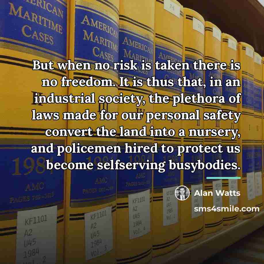 “But when no risk is taken there is no freedom.…” quote by Alan Watts