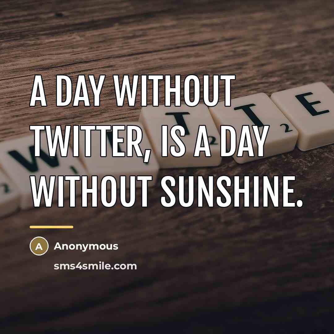 “A day without Twitter, is a day without sunshine.…” quote by Anonymous