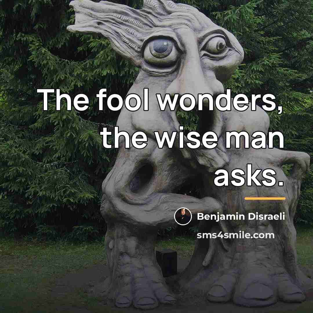 “The fool wonders, the wise man asks.…” quote by Benjamin Disraeli