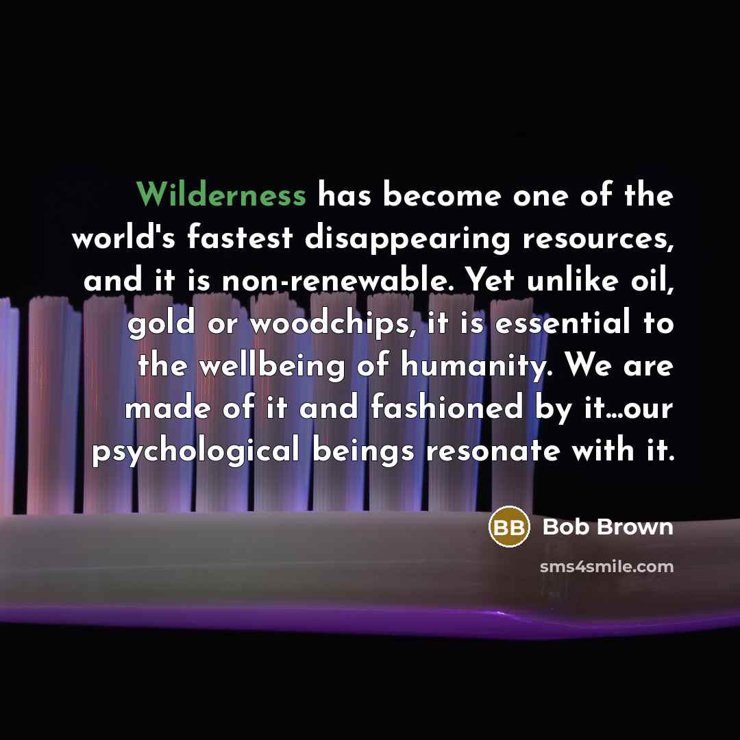 “Wilderness has become one of the world's fastest disappearing resources,…” quote by Bob Brown