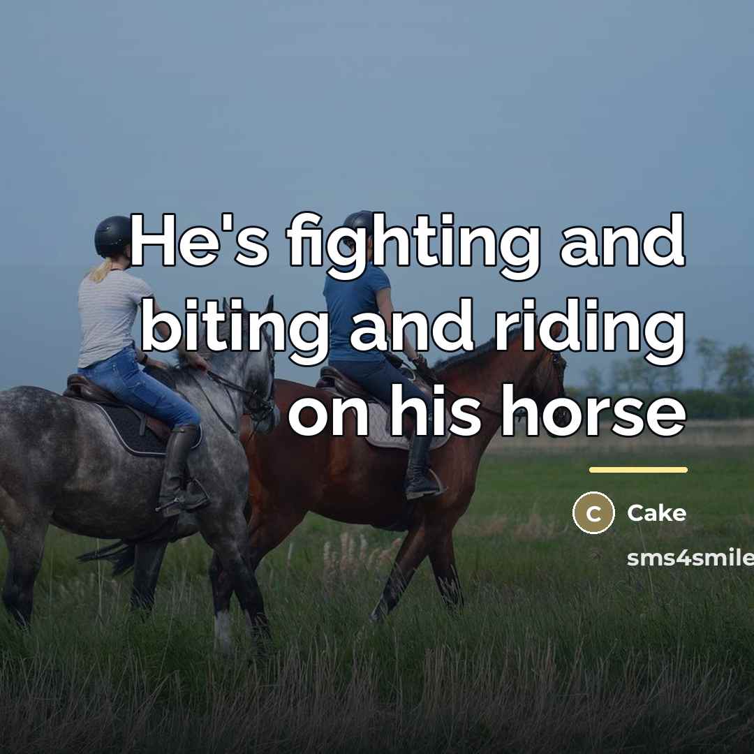 “He's fighting and biting and riding on his horse…” quote by Cake