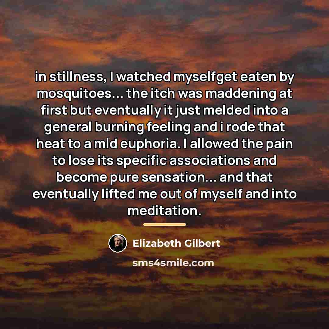 “in stillness, I watched myselfget eaten by mosquitoes... the itch…” quote by Elizabeth Gilbert