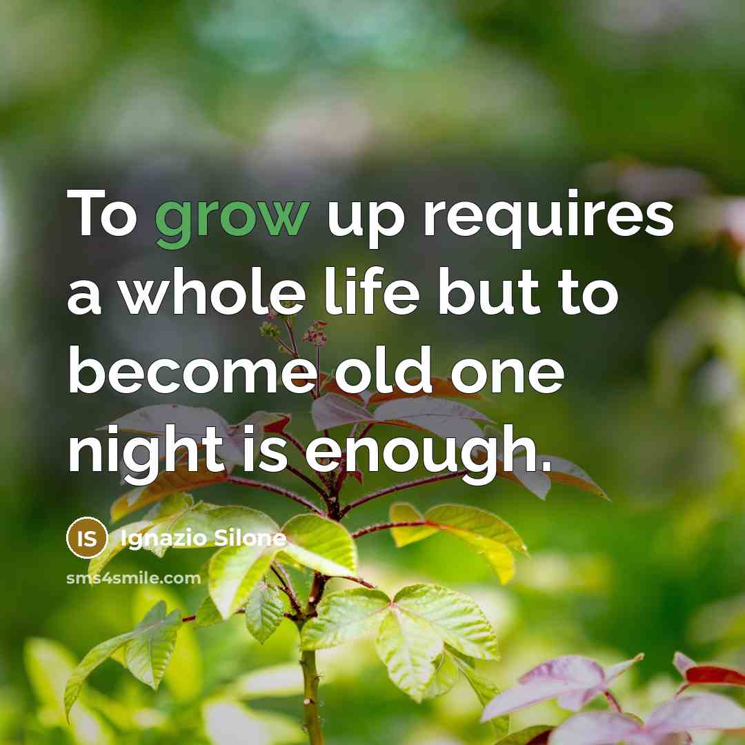“To grow up requires a whole life but to become…” quote by Ignazio Silone