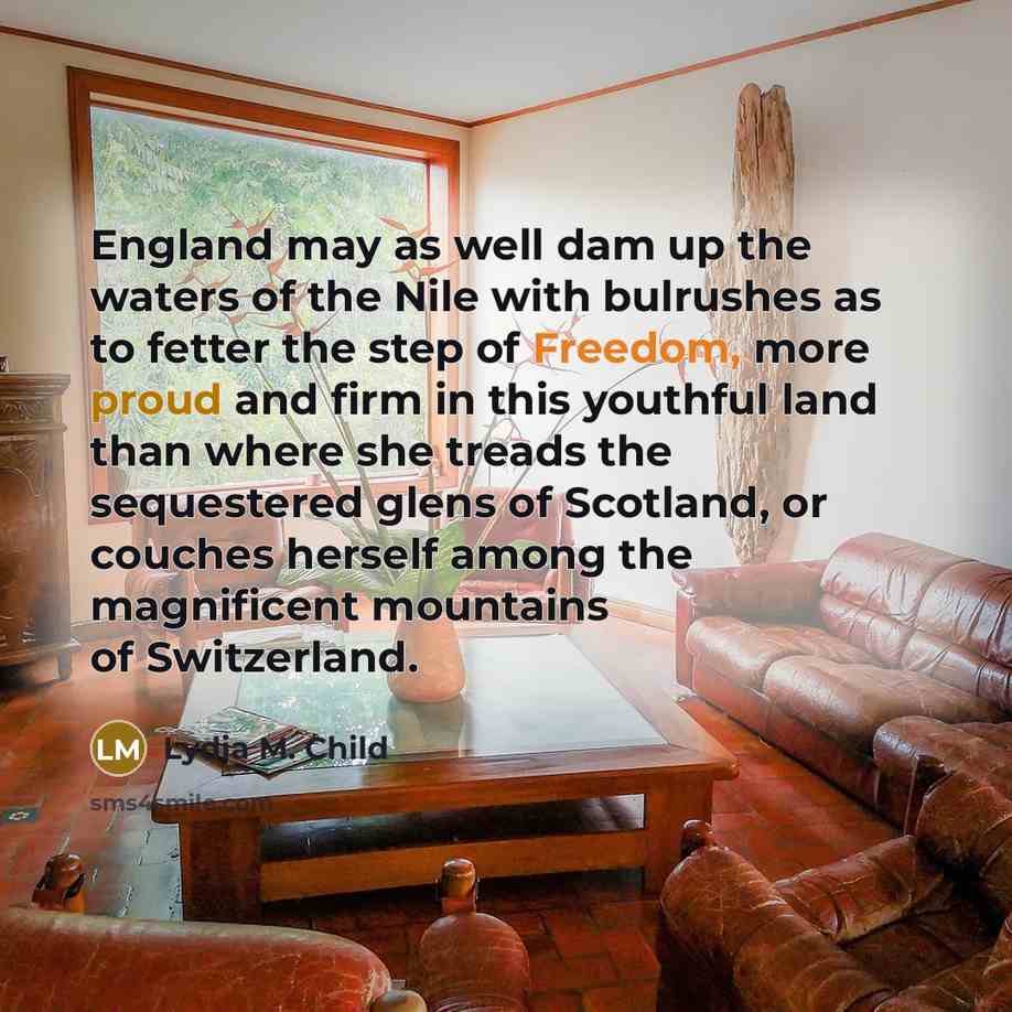 “England may as well dam up the waters of the…” quote by Lydia M. Child