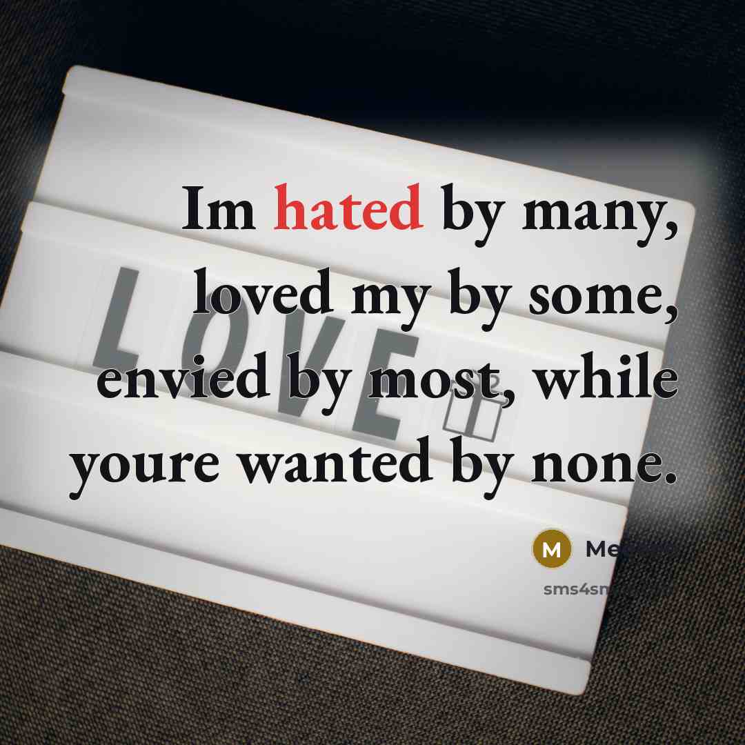 “Im hated by many, loved my by some, envied by…” quote by MEEEEE