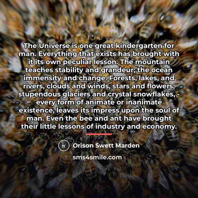 “The Universe is one great kindergarten for man. Everything that…” quote by Orison Swett Marden