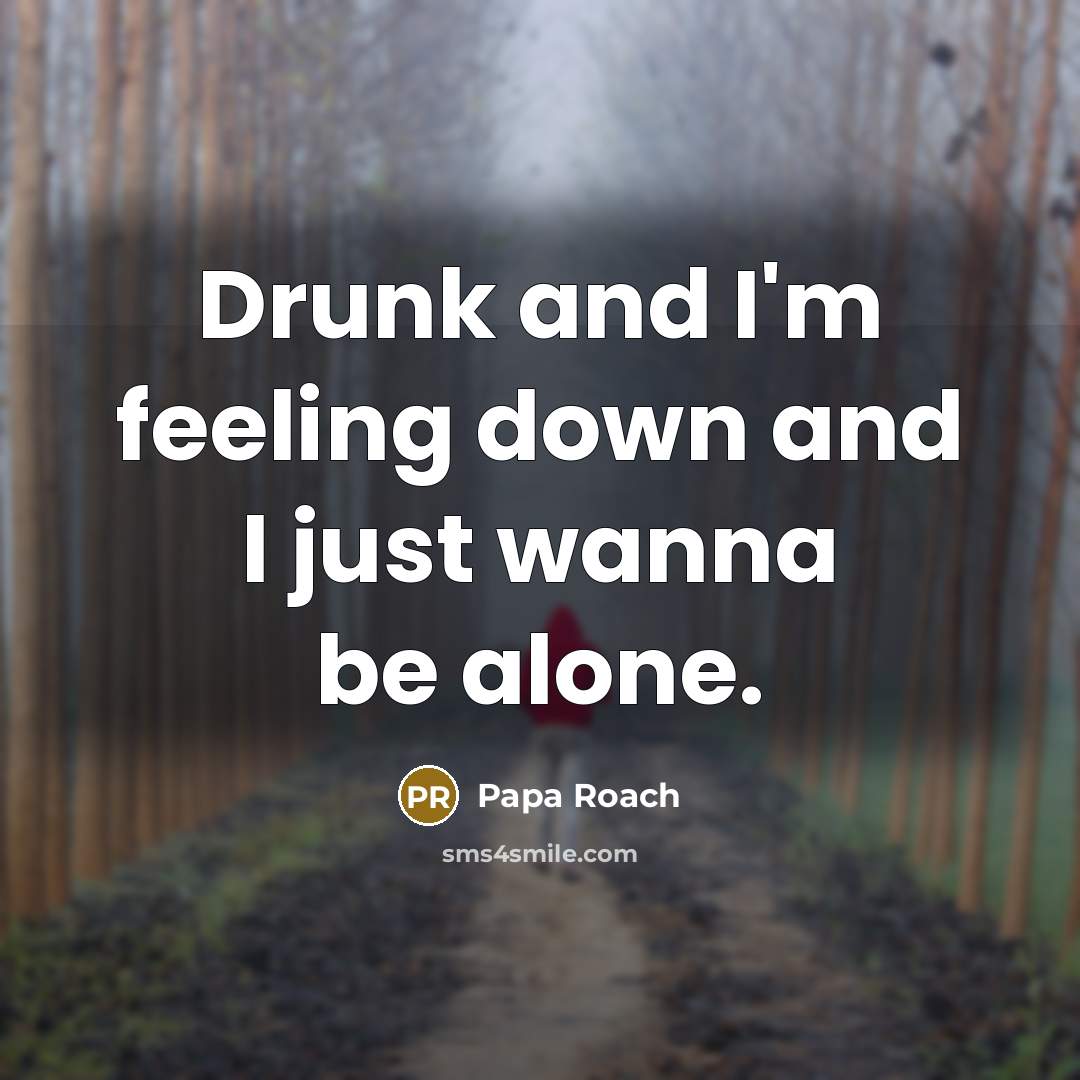 “Drunk and I'm feeling down and I just wanna be…” quote by Papa Roach