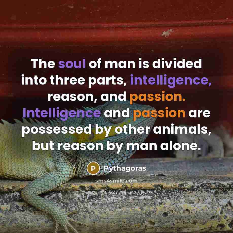 “The soul of man is divided into three parts, intelligence,…” quote by Pythagoras
