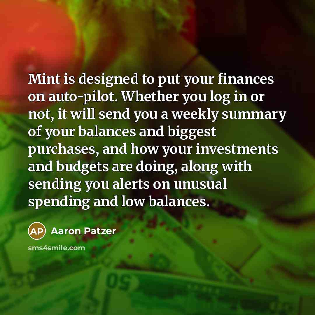 “Mint is designed to put your finances on auto-pilot. Whether…” quote by Aaron Patzer