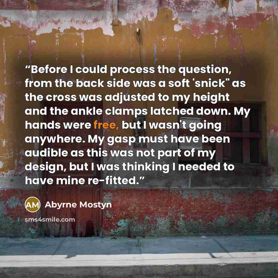 “Before I could process the question, from the back side was a soft 'snick" as the cross was adjusted to my height and the ankle clamps latched down. My hands were free, but I wasn't going anywhere. My gasp must have been audible as this was not part of my design, but I was thinking I needed to…” quote by Abyrne Mostyn