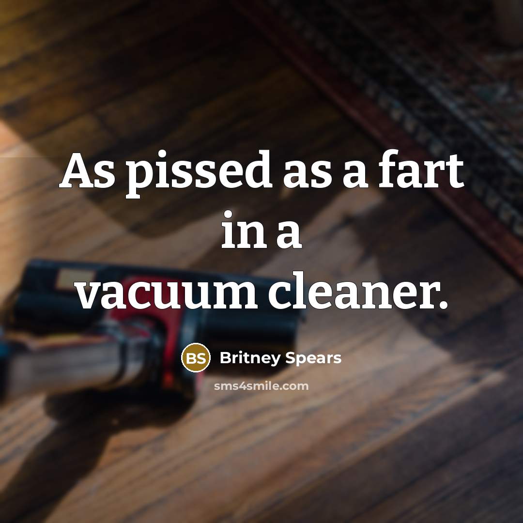 “As pissed as a fart in a vacuum cleaner.…” quote by Britney Spears