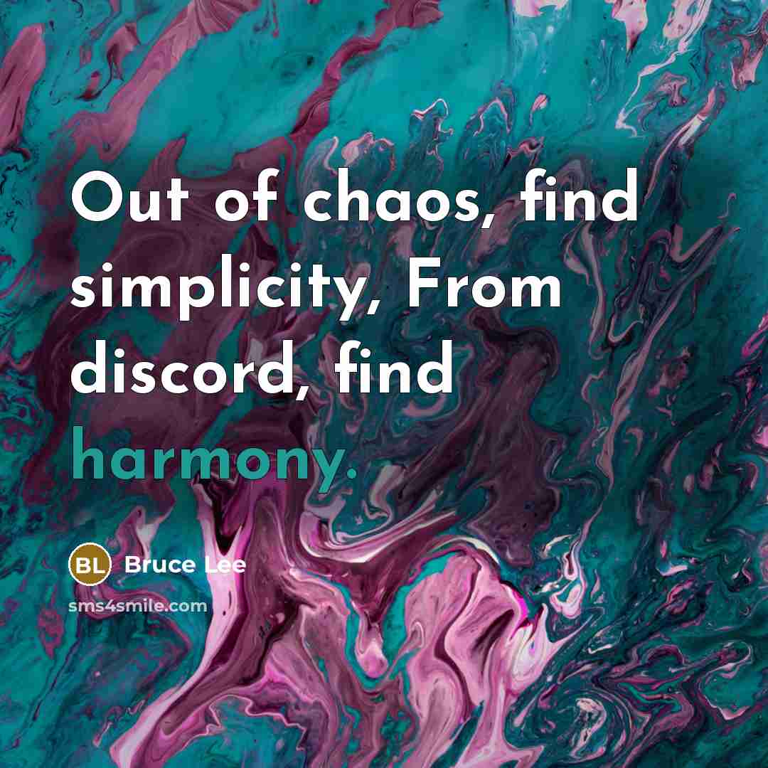“Out of chaos, find simplicity, From discord, find harmony.…” quote by Bruce Lee