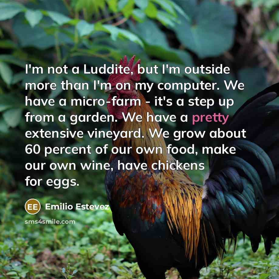 “I'm not a Luddite, but I'm outside more than I'm…” quote by Emilio Estevez