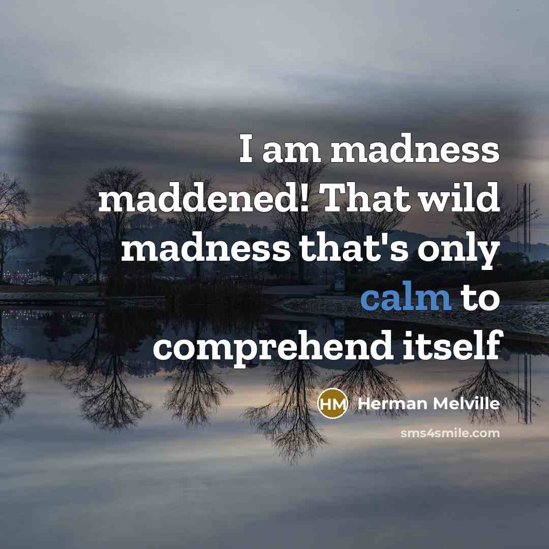 “I am madness maddened! That wild madness that's only calm…” quote by Herman Melville