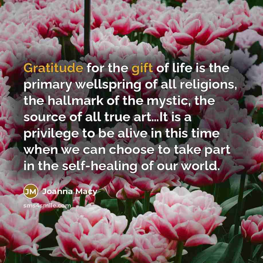 “Gratitude for the gift of life is the primary wellspring…” quote by Joanna Macy