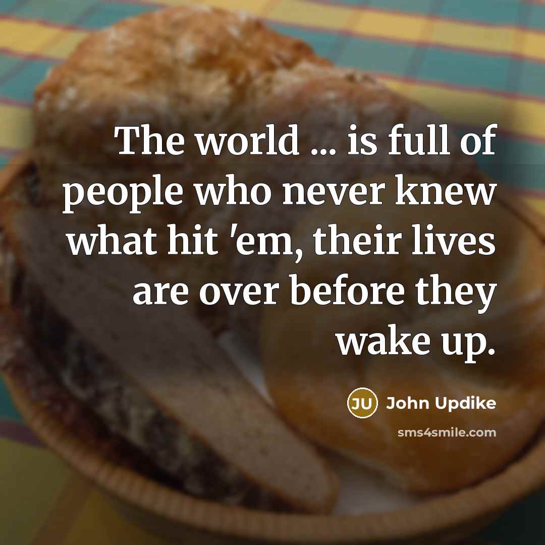 “The world ... is full of people who never knew…” quote by John Updike