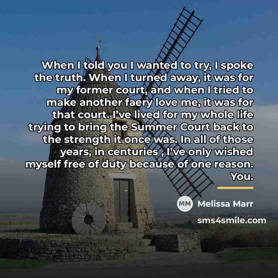 “When I told you I wanted to try, I spoke…” quote by Melissa Marr