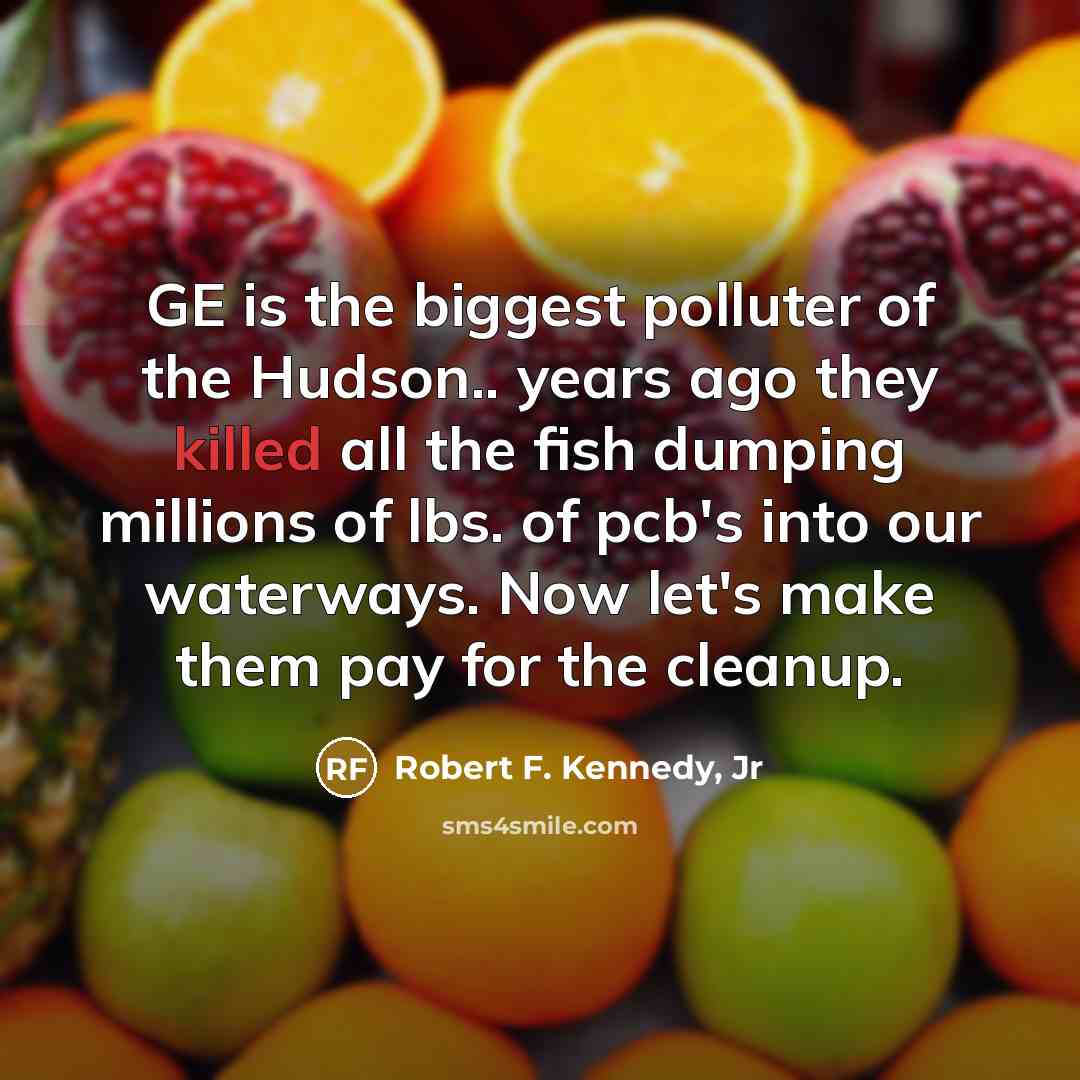 “GE is the biggest polluter of the Hudson.. years ago…” quote by Robert F. Kennedy, Jr
