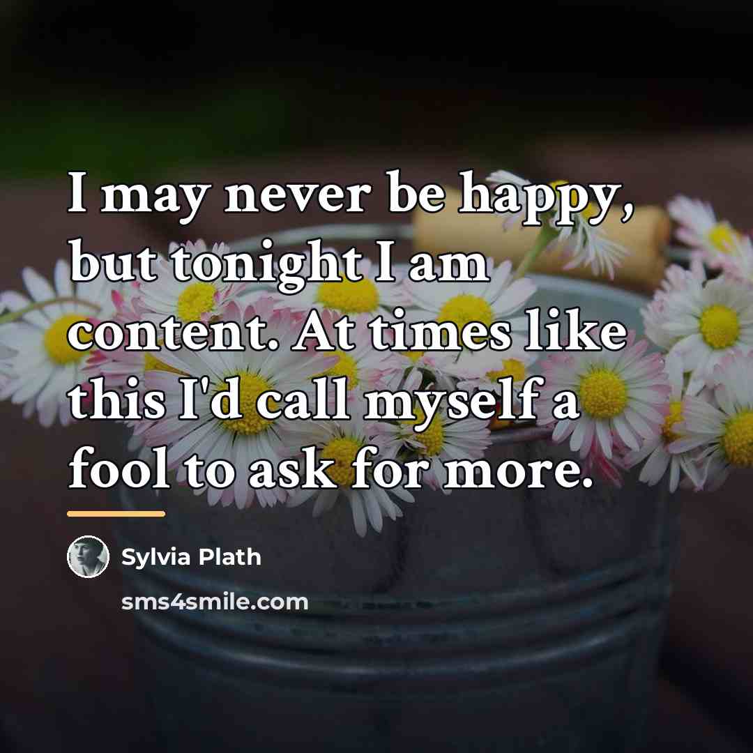 “I may never be happy, but tonight I am content.…” quote by Sylvia Plath