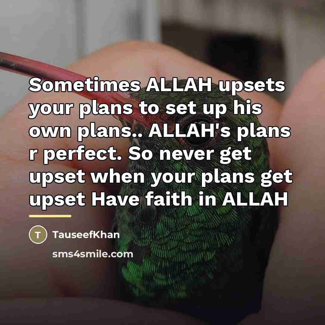 “Sometimes ALLAH upsets your plans to set up his own…” quote by TauseefKhan