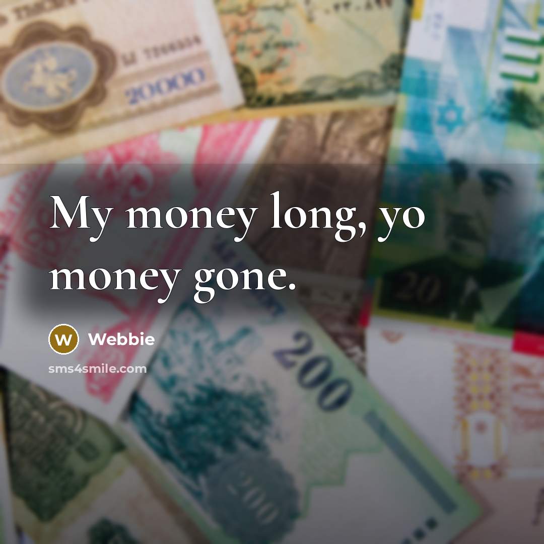 “My money long, yo money gone.” quote by Webbie