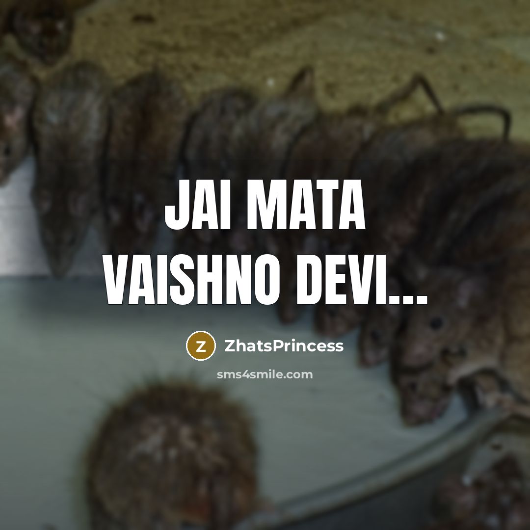 “Jai mata vaishno devi....…” quote by ZhatsPrincess