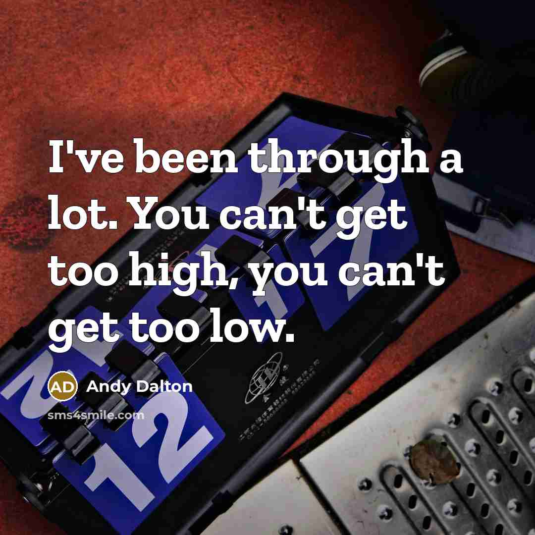 “I've been through a lot. You can't get too high,…” quote by Andy Dalton