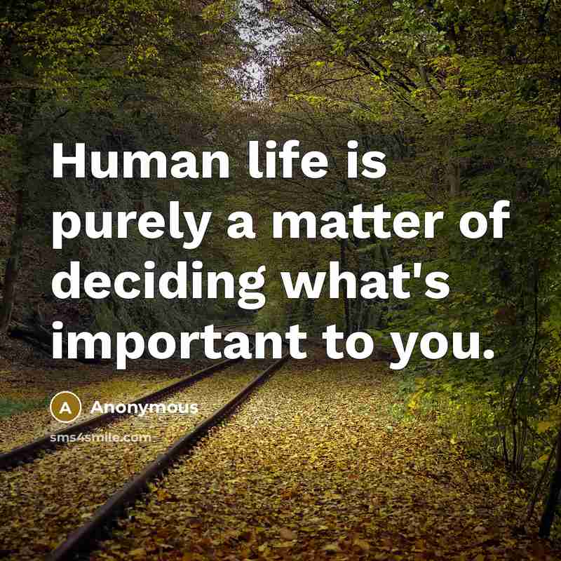 “Human life is purely a matter of deciding what's important…” quote by Anonymous