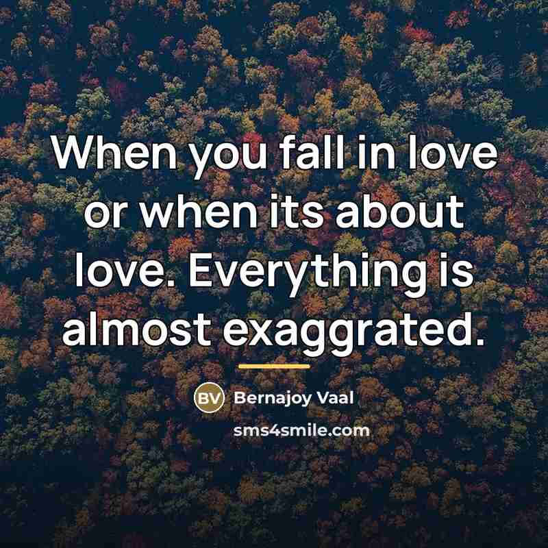 “When you fall in love or when its about love.…” quote by Bernajoy Vaal