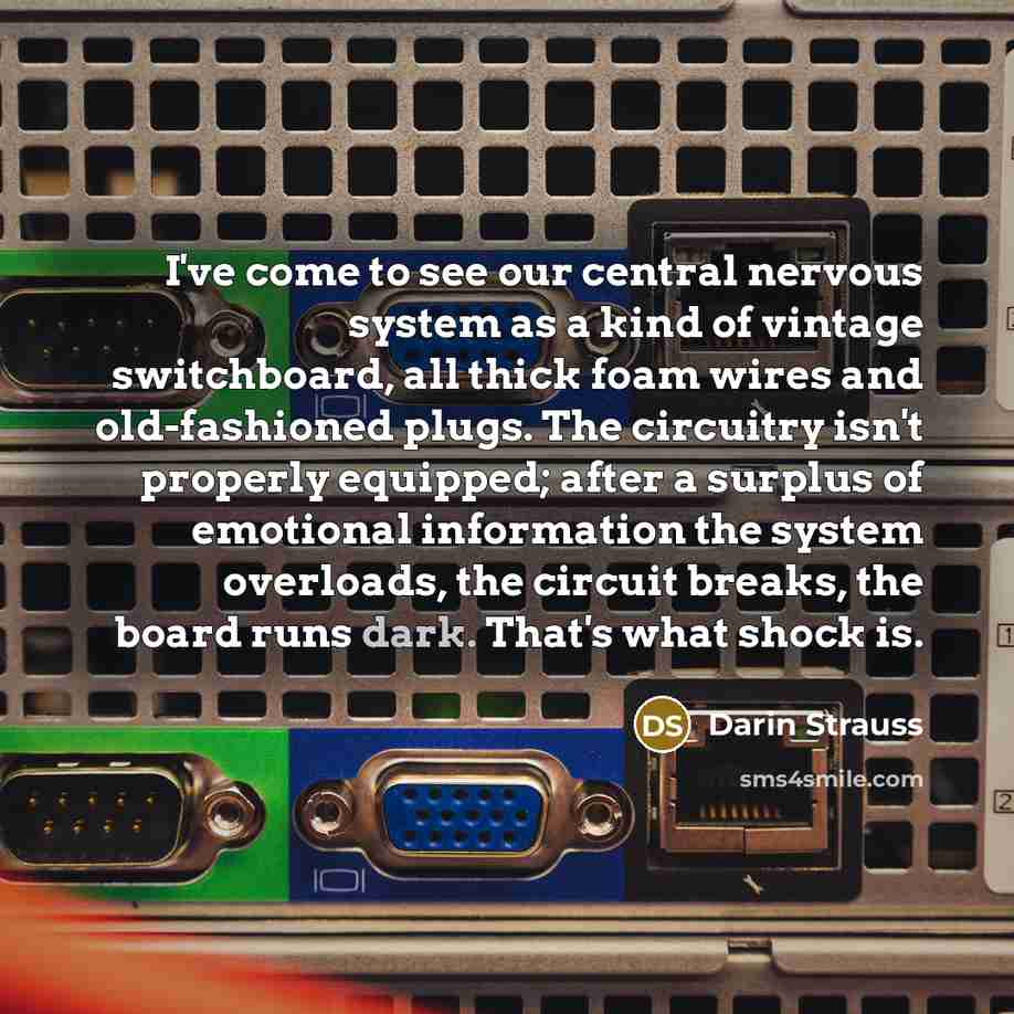 “I've come to see our central nervous system as a…” quote by Darin Strauss