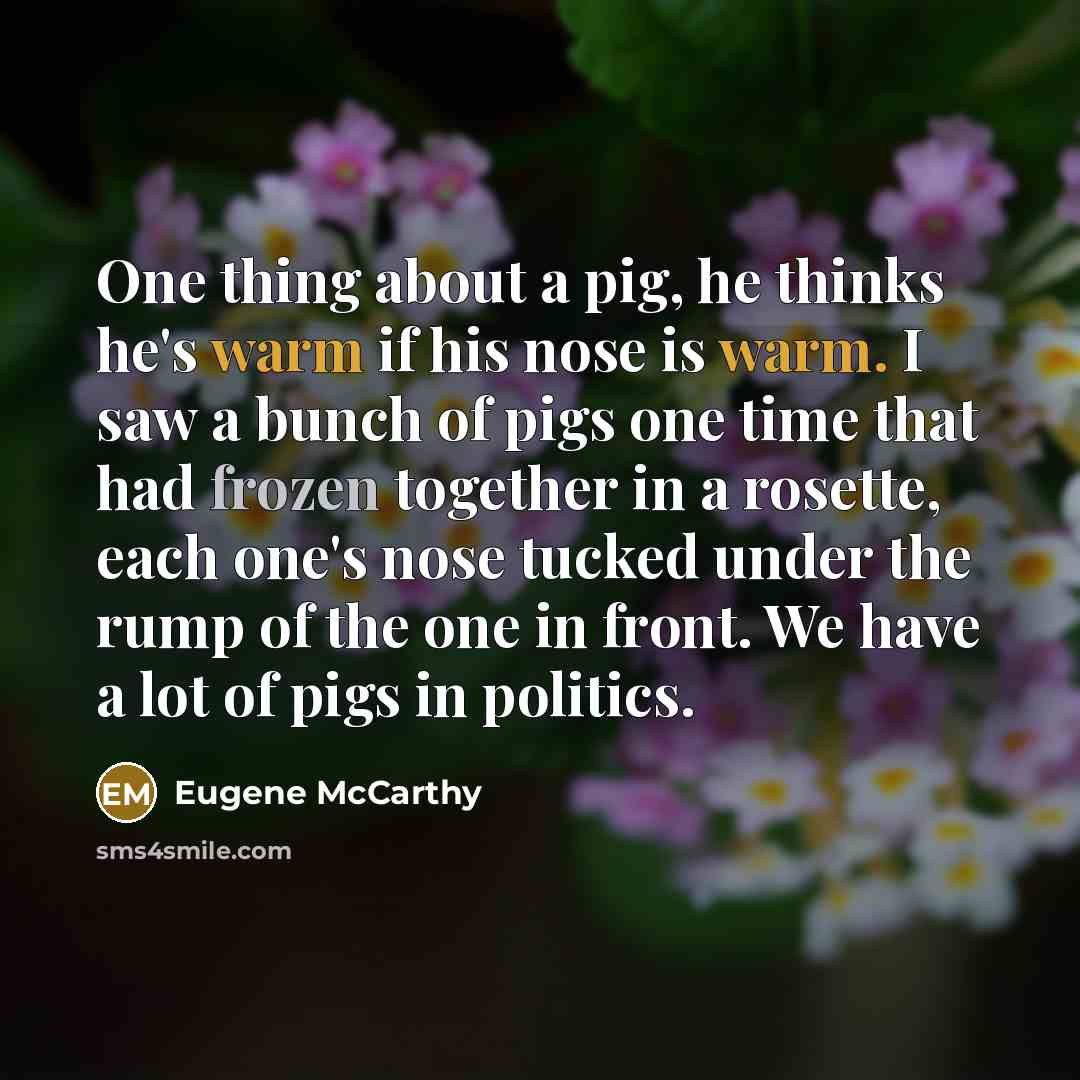 “One thing about a pig, he thinks he's warm if his nose is warm. I saw a bunch of pigs one time that had frozen together in a rosette, each one's nose tucked under the rump of the one in front. We have a lot of pigs in politics.” quote by Eugene McCarthy