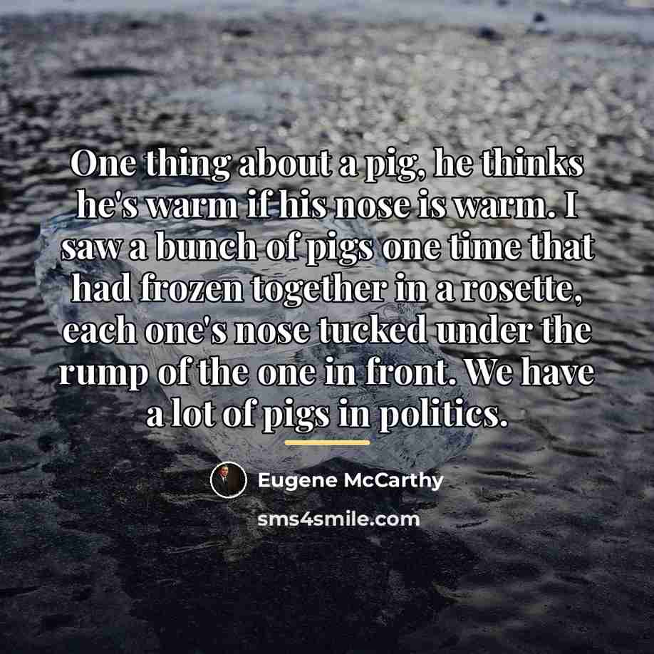 “One thing about a pig, he thinks he's warm if…” quote by Eugene McCarthy