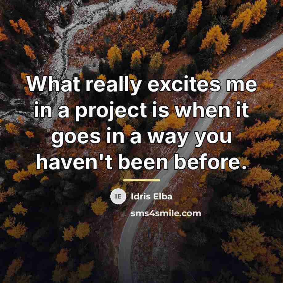 “What really excites me in a project is when it…” quote by Idris Elba