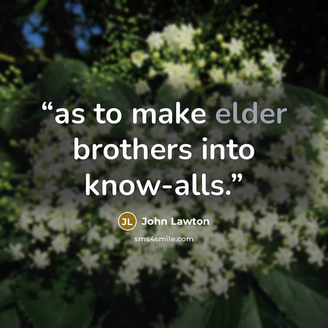 “as to make elder brothers into know-alls.” quote by John Lawton