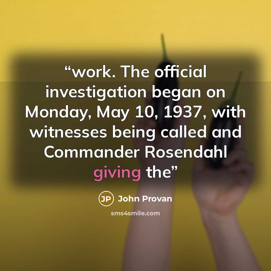 “work. The official investigation began on Monday, May 10, 1937, with witnesses being called and Commander Rosendahl giving the” quote by John Provan
