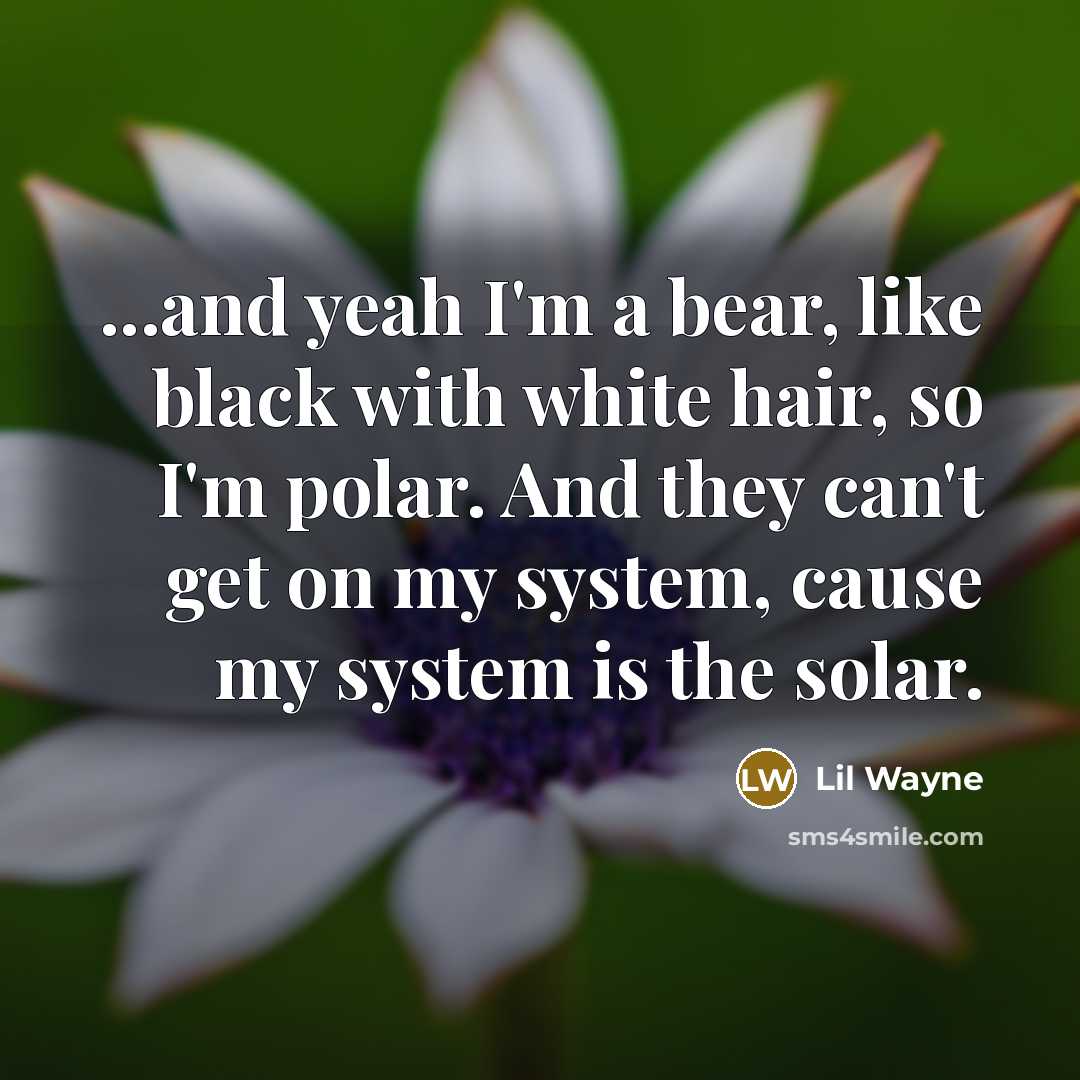 “...and yeah I'm a bear, like black with white hair,…” quote by Lil Wayne