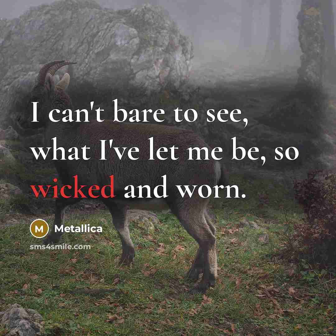 “I can't bare to see, what I've let me be, so wicked and worn.” quote by Metallica