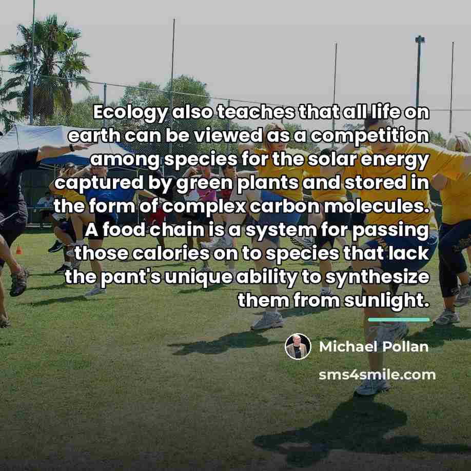 “Ecology also teaches that all life on earth can be…” quote by Michael Pollan