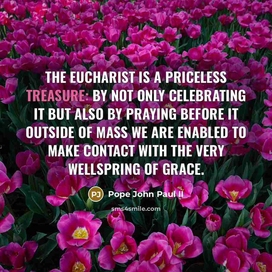 “The Eucharist is a priceless treasure: by not only celebrating…” quote by Pope John Paul II