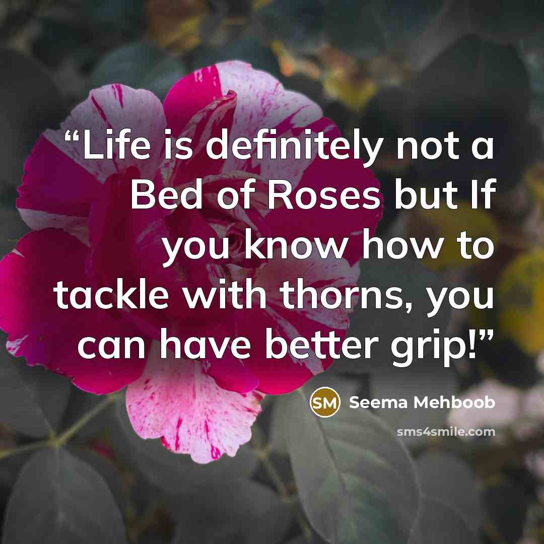 “Life is definitely not a Bed of Roses but If you know how to tackle with thorns, you can have better grip!” quote by Seema Mehboob