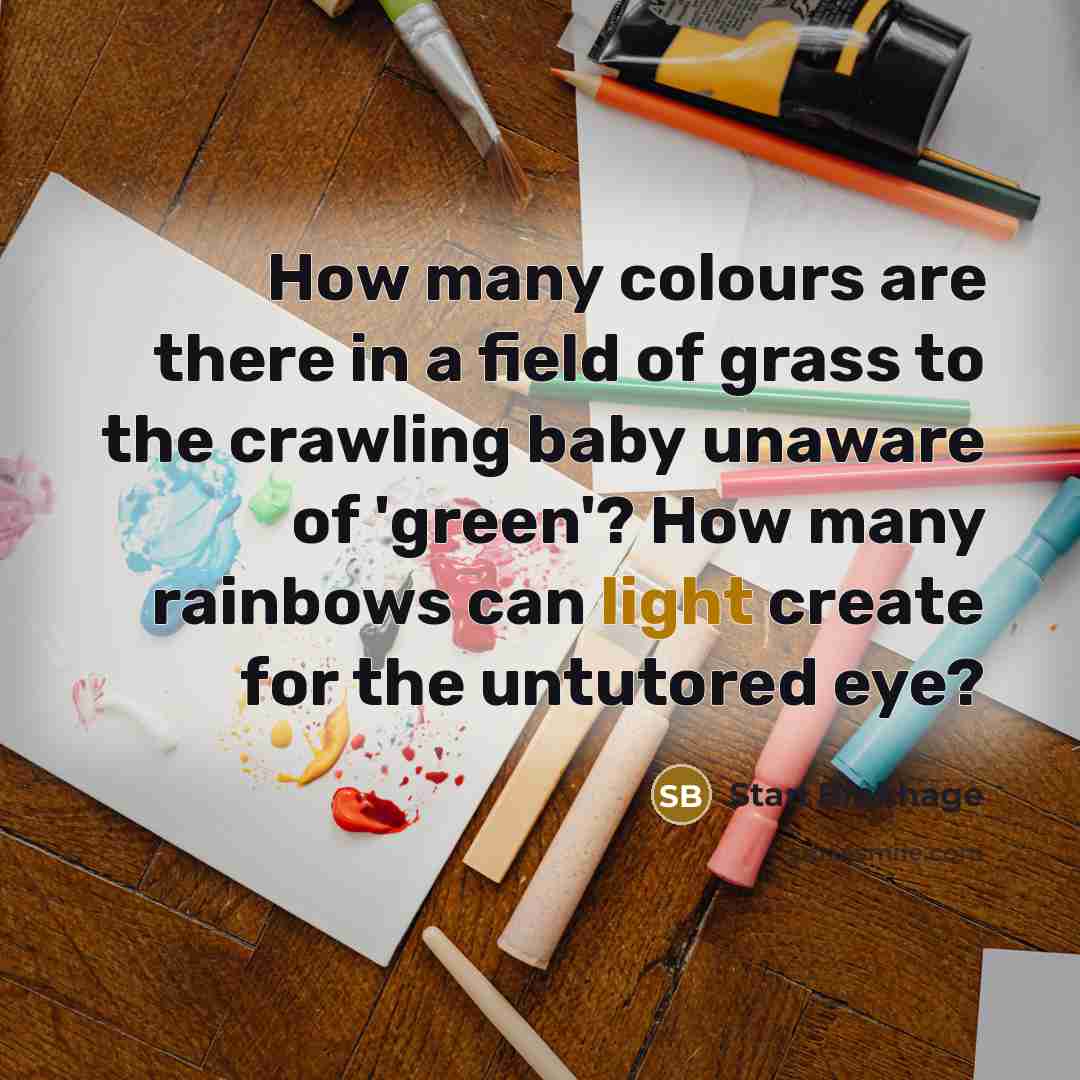 “How many colours are there in a field of grass…” quote by Stan Brakhage