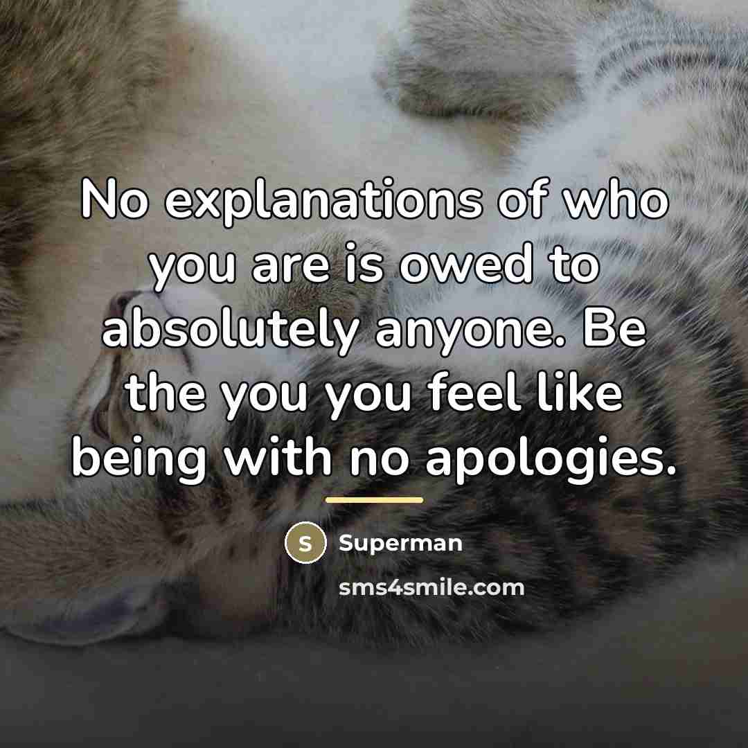 “No explanations of who you are is owed to absolutely…” quote by Superman