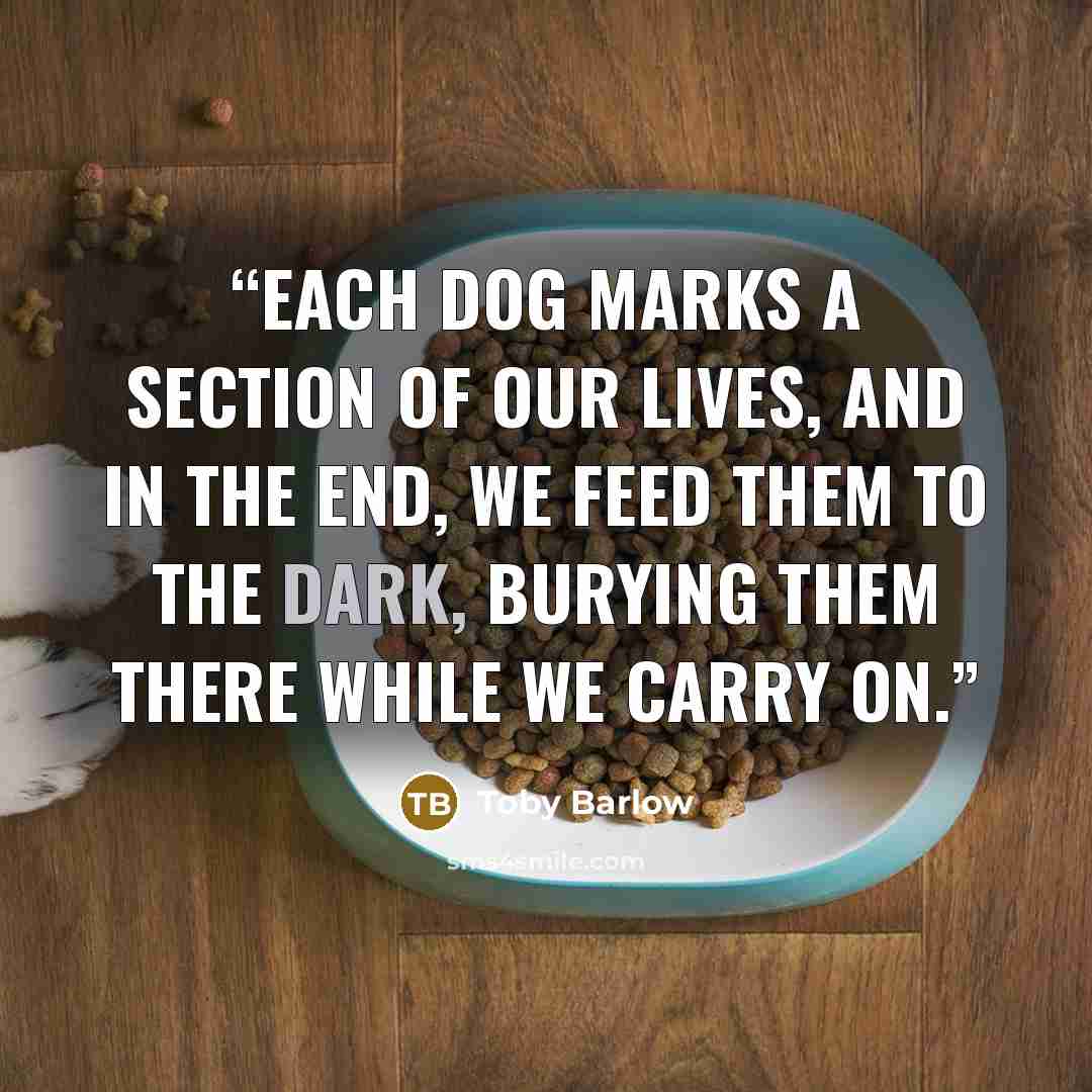 “Each dog marks a section of our lives, and in the end, we feed them to the dark, burying them there while we carry on.” quote by Toby Barlow