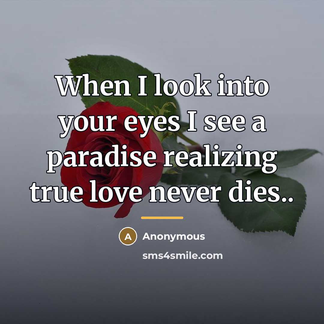 “When I look into your eyes I see a paradise…” quote by Anonymous