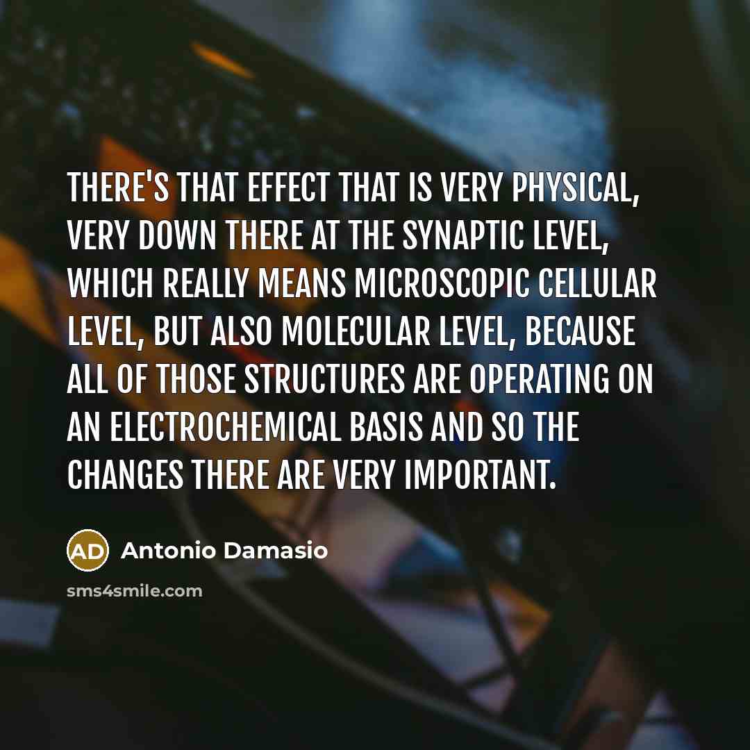 “There's that effect that is very physical, very down there…” quote by Antonio Damasio