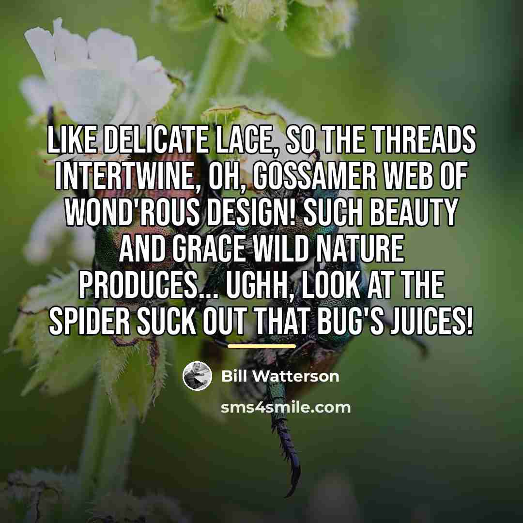 “Like delicate lace, So the threads intertwine, Oh, gossamer web…” quote by Bill Watterson